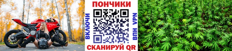 Канабис LSD WEED  хочу   Гусиноозёрск 